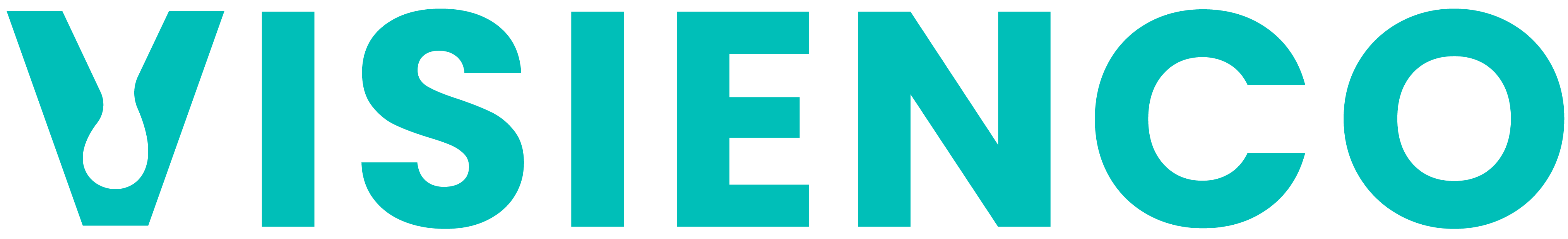Visienco logo